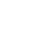 cámaras
